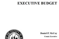 2021 Executive Budget