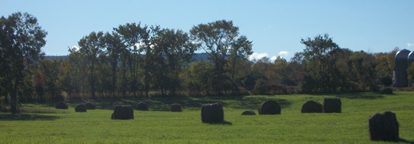 Decorative photo of farmland
