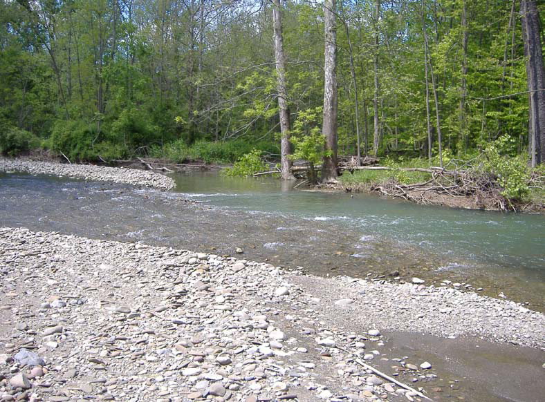 Photo of confluence of Onesquethaw and Coeymans Creek
