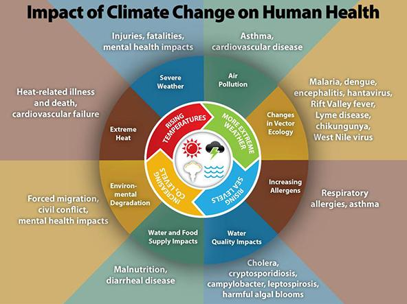 Impact of Climate Change on Human Health - infographic