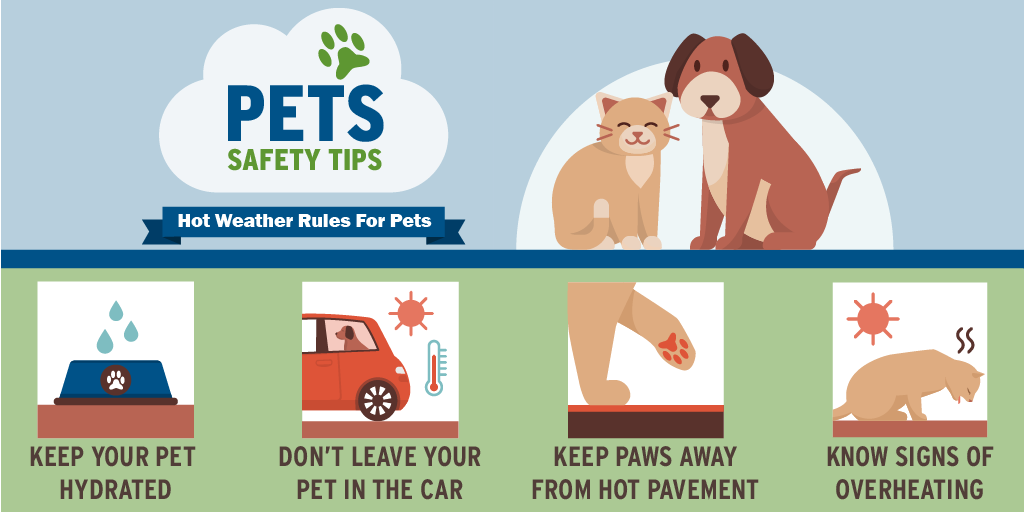 pets
