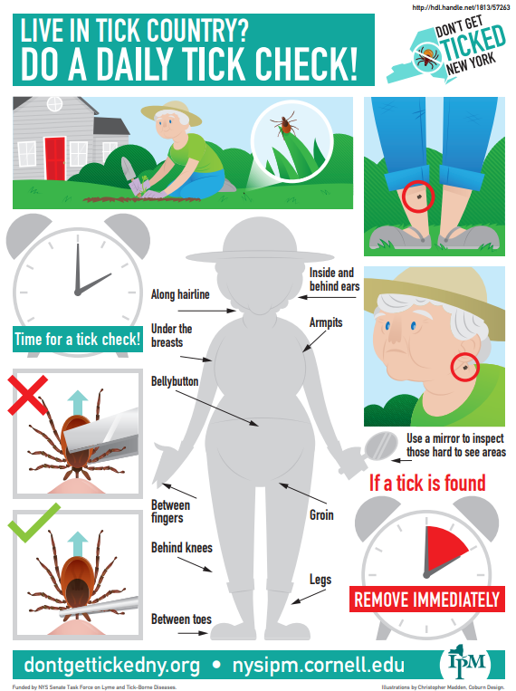 do a daily tick check