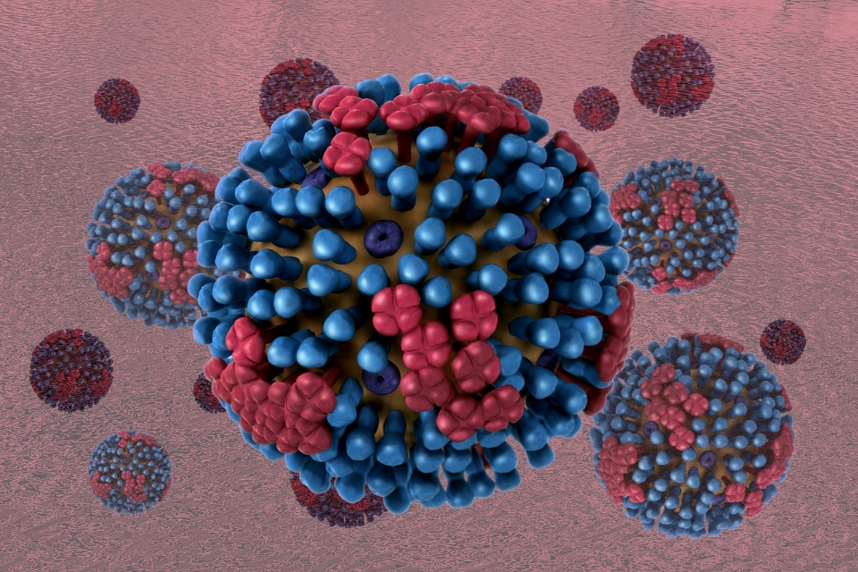 microscopic image of multiple flu viruses